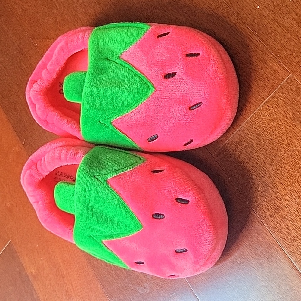 LIKE NEW Harper Canyon Watermelon Slippers
